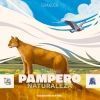 [PRE-ORDER] Pampero: Cielo Despejado