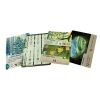 Forest Shuffle: Expansion