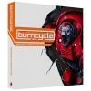 Burncycle: Bot and Guard BrassMag Figures