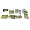 [PRE-ORDER] Forest Shuffle Dartmoor: Exmoor